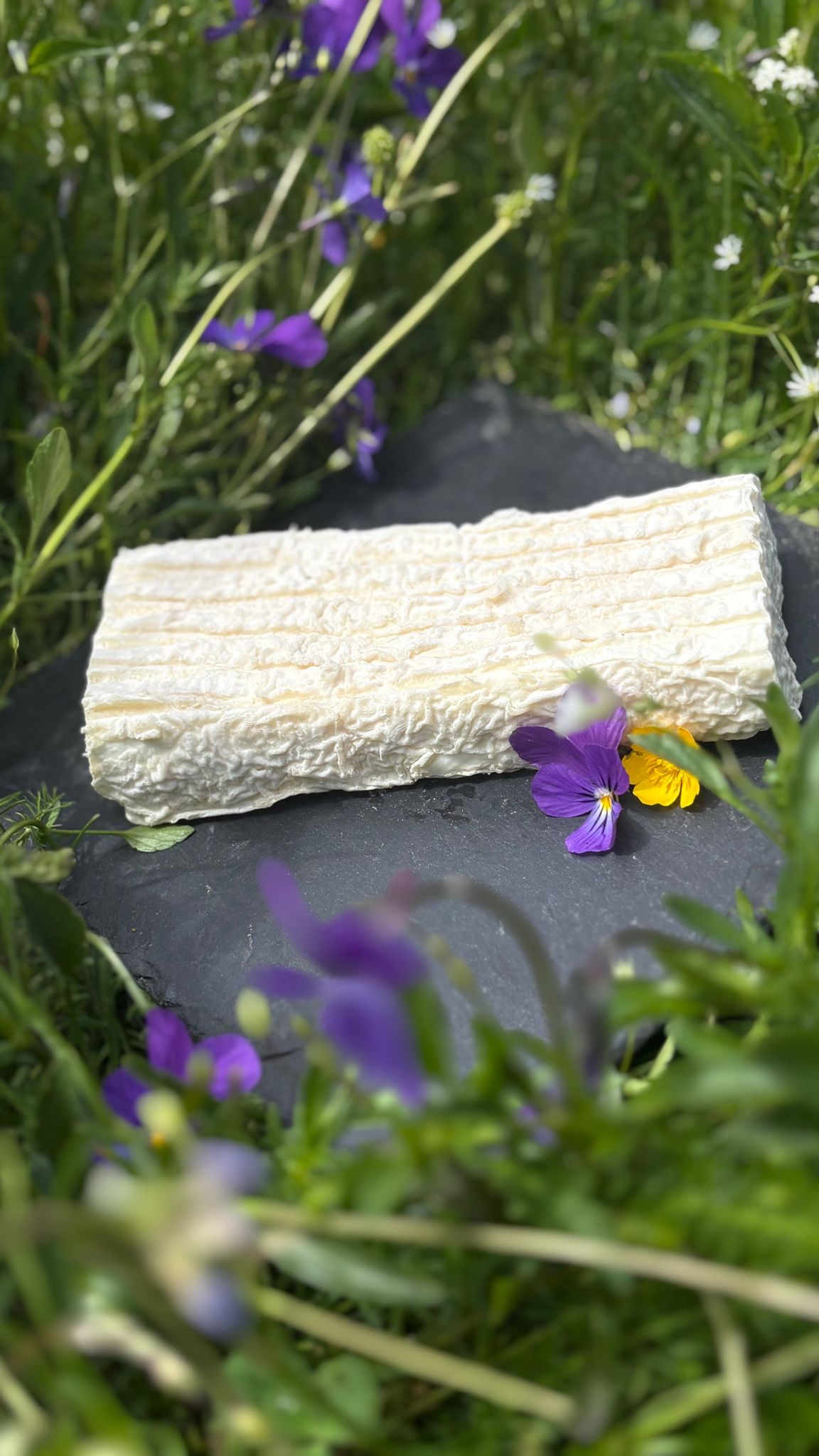 Brique de chèvre bio nature de la ferme de Sagne Rousseyre