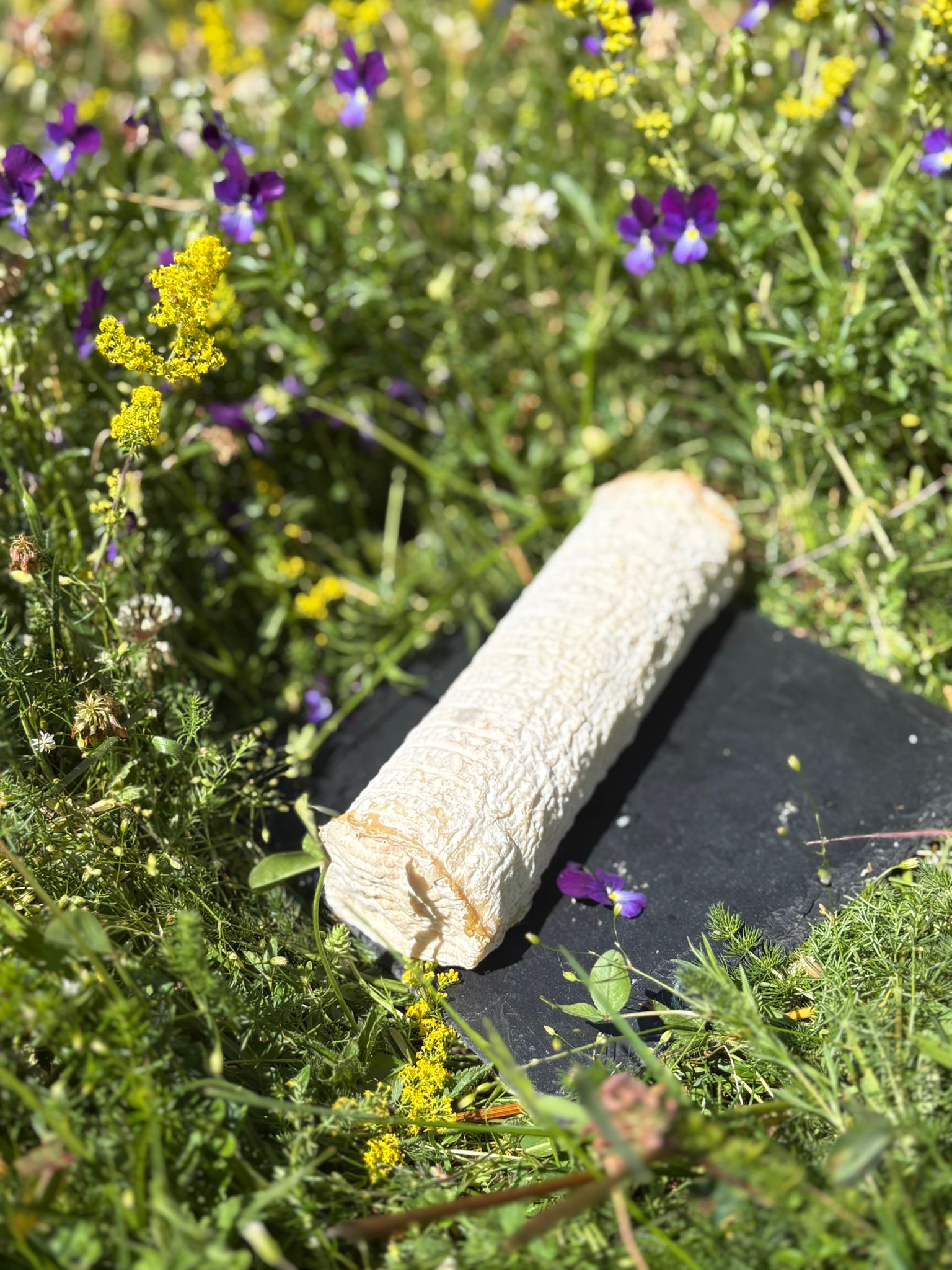 Bûchette de chèvre de la ferme de Sagne Rousseyre en Ardèche