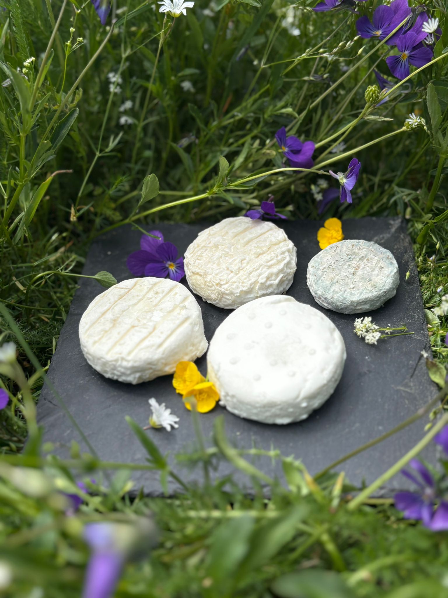 Cabre Doux, fromage de chèvre frais bio de la ferme de Sagne Rousseyre