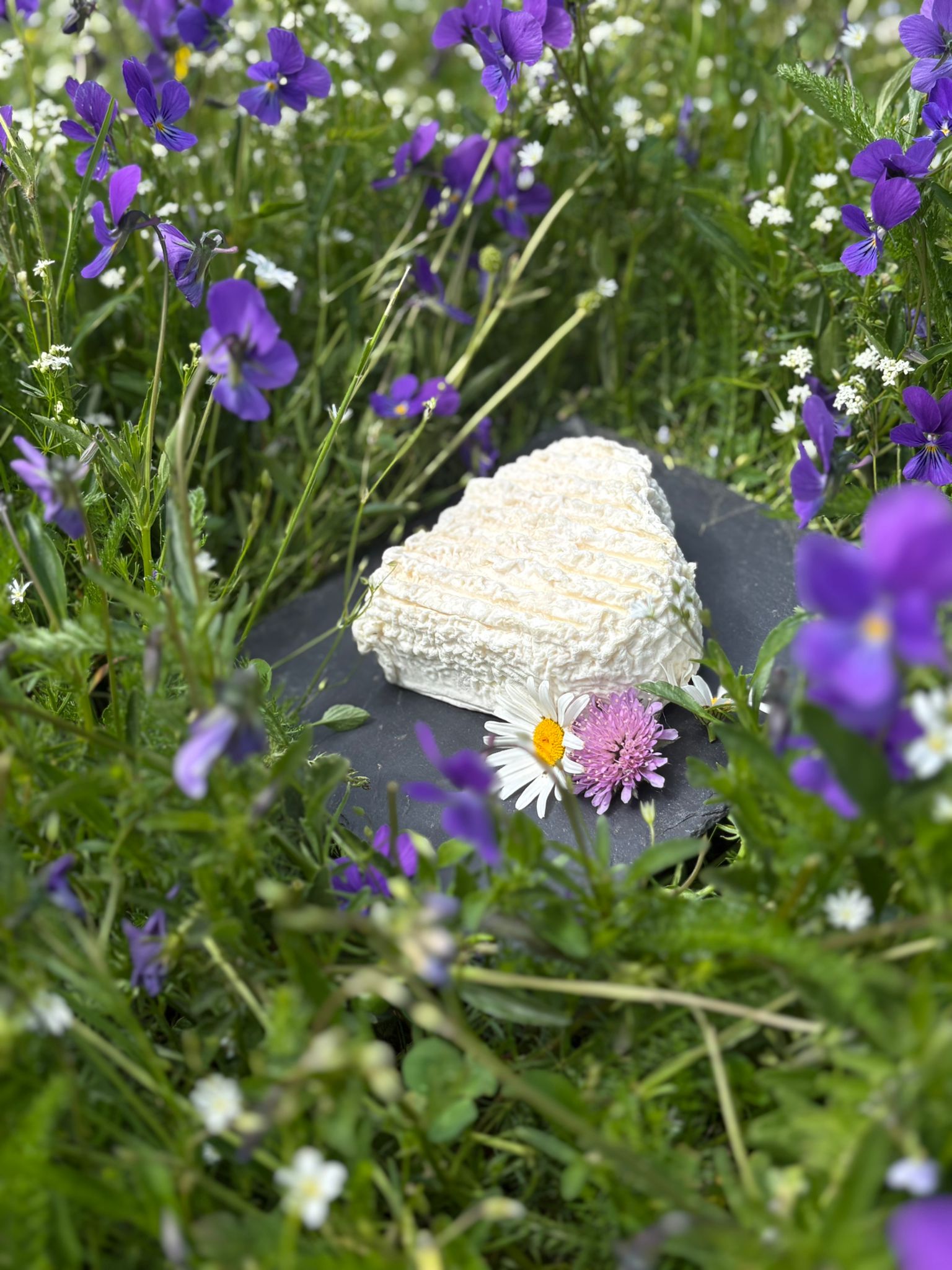 Cœur de chèvre frais de la ferme de Sagne Rousseyre, fromage pré-égoutté bio