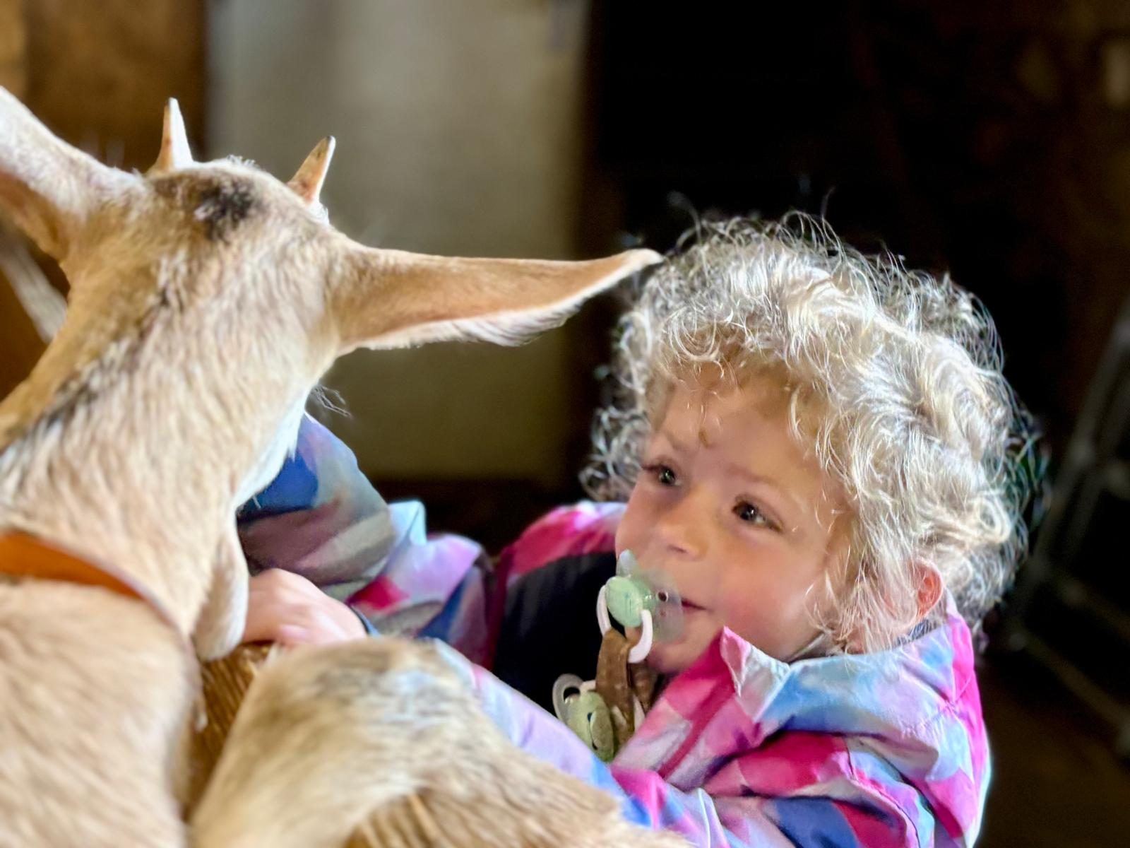 Gabriella, la fille de Sandra et Valentin, avec un chevreau à la ferme de Sagne Rousseyre