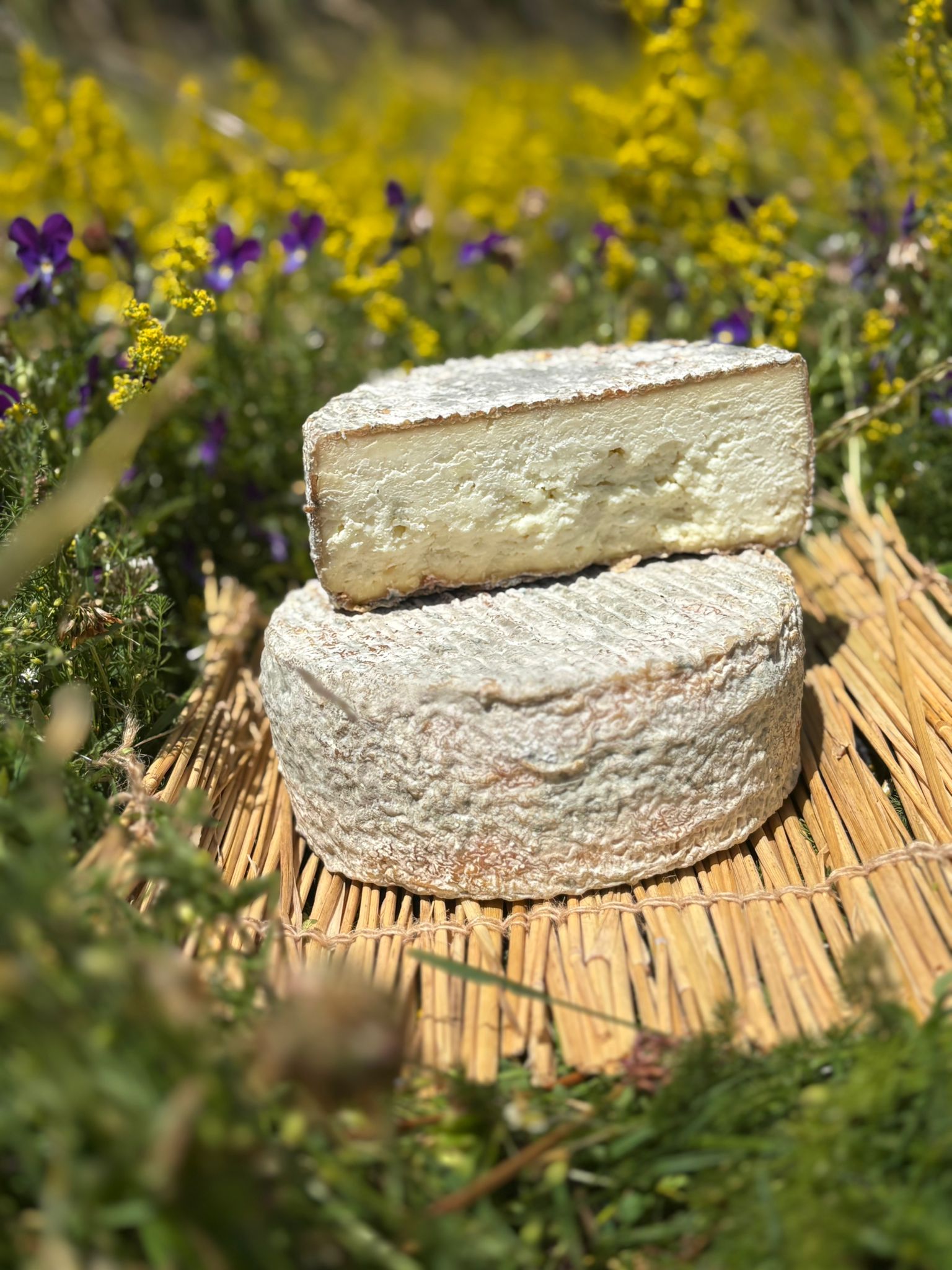 Grande tome de chèvre de la ferme de Sagne Rousseyre en Ardèche