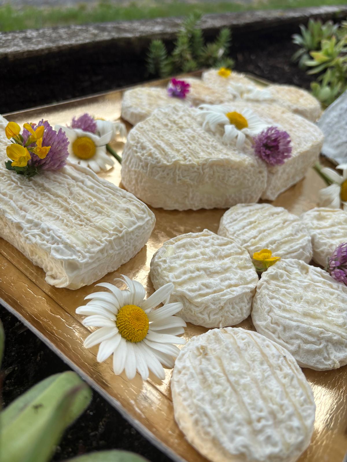Plateau de fromages de chèvre bio pour événement mariage, composé par la ferme de Sagne Rousseyre