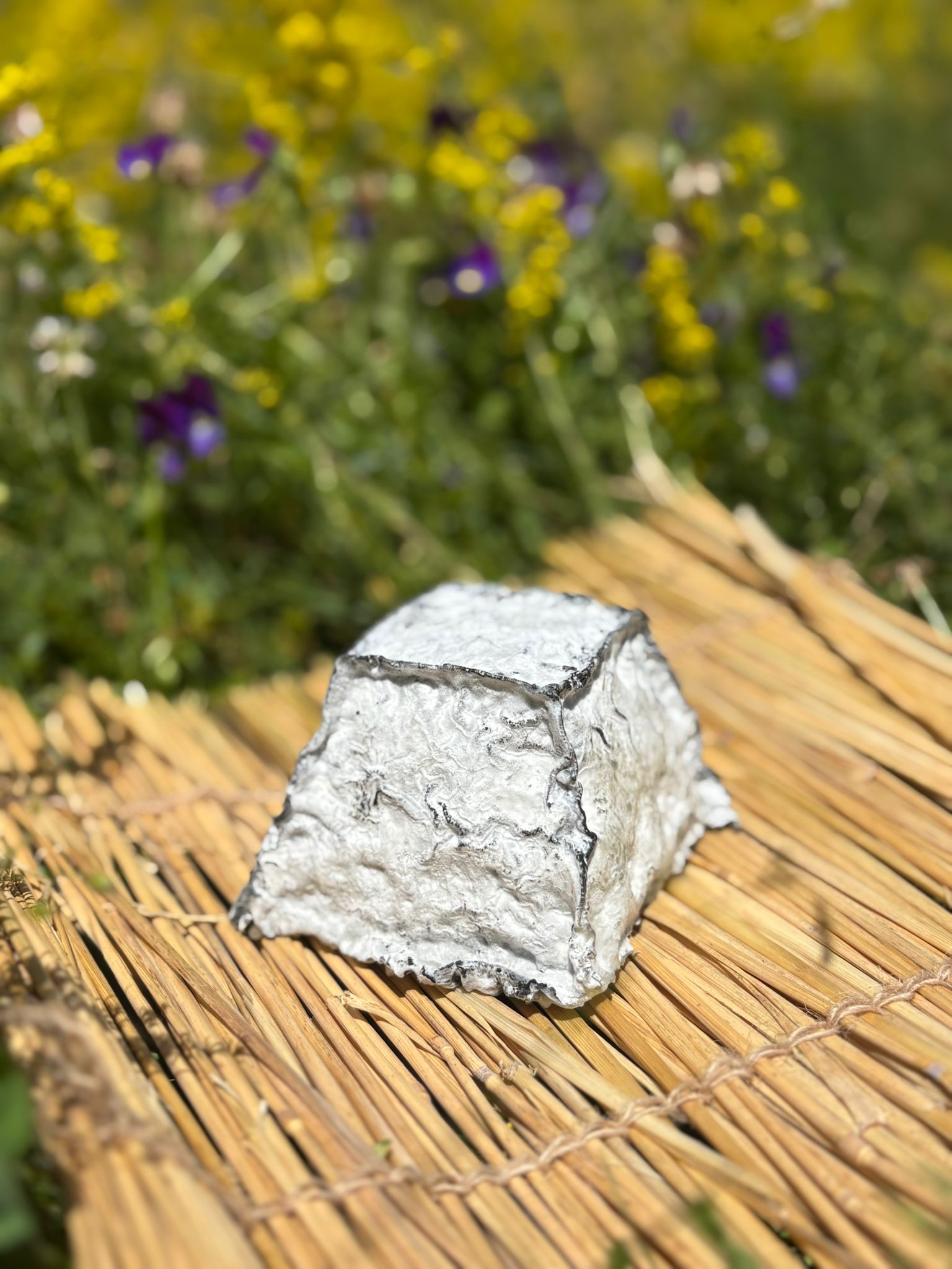 Pyramide cendrée de chèvre de la ferme de Sagne Rousseyre en Ardèche