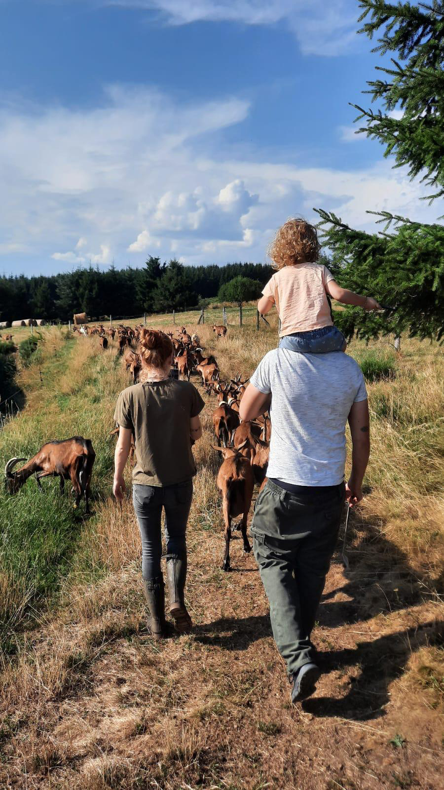 Sandra et Valentin, éleveurs caprins à la ferme de Sagne Rousseyre en Ardèche